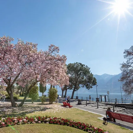 Junior Suite-12 By Interhome Appartamento Ascona